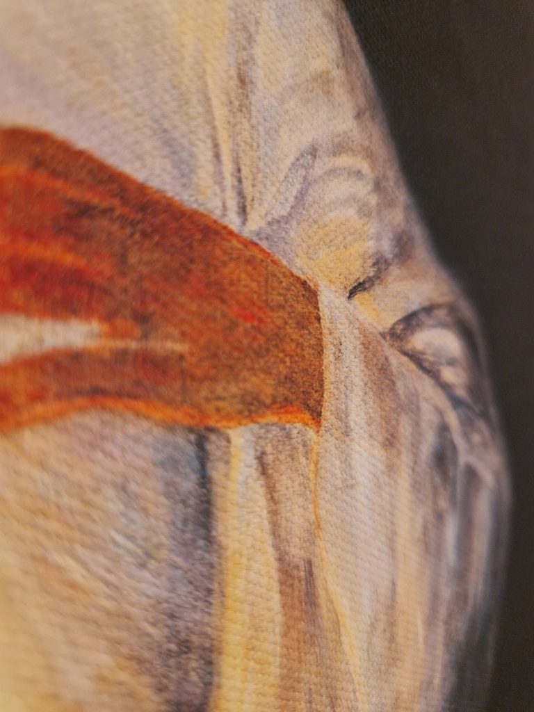 Sedmi dan devetnice Božjem milosrđu